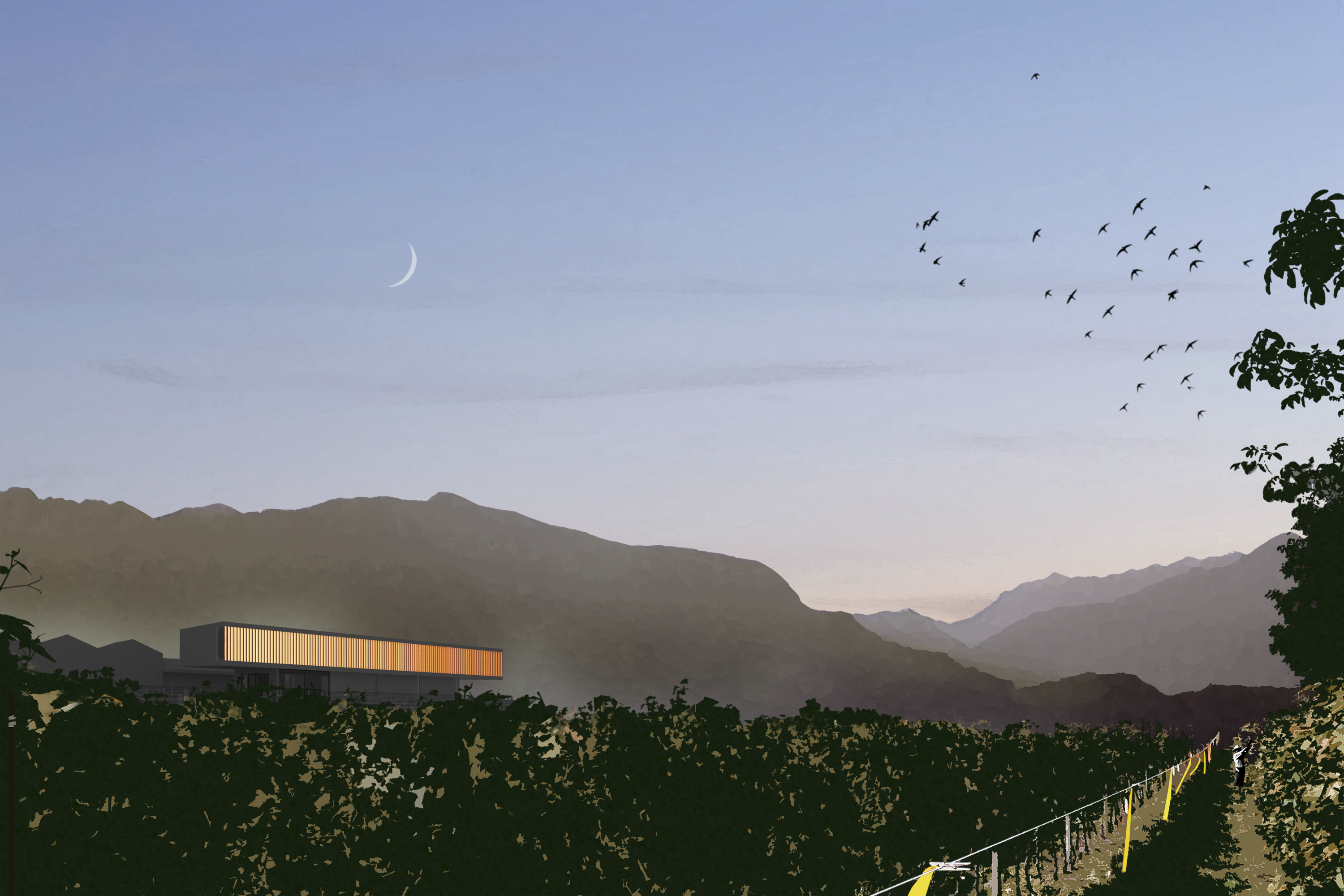 Cantina vini Ascona 1